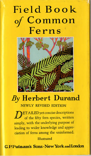 Click for larger image - Front cover: Field Book of Common Ferns by Herbert Durand
