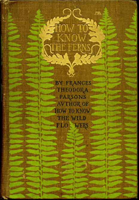 Click for larger image - Front cover: Front cover: How to Know the Ferns: A Guide to the Names, Haunts, and Habits of our Common Ferns by Frances Theodora Parsons -  First Edition - Charles Scribner's - 1899.